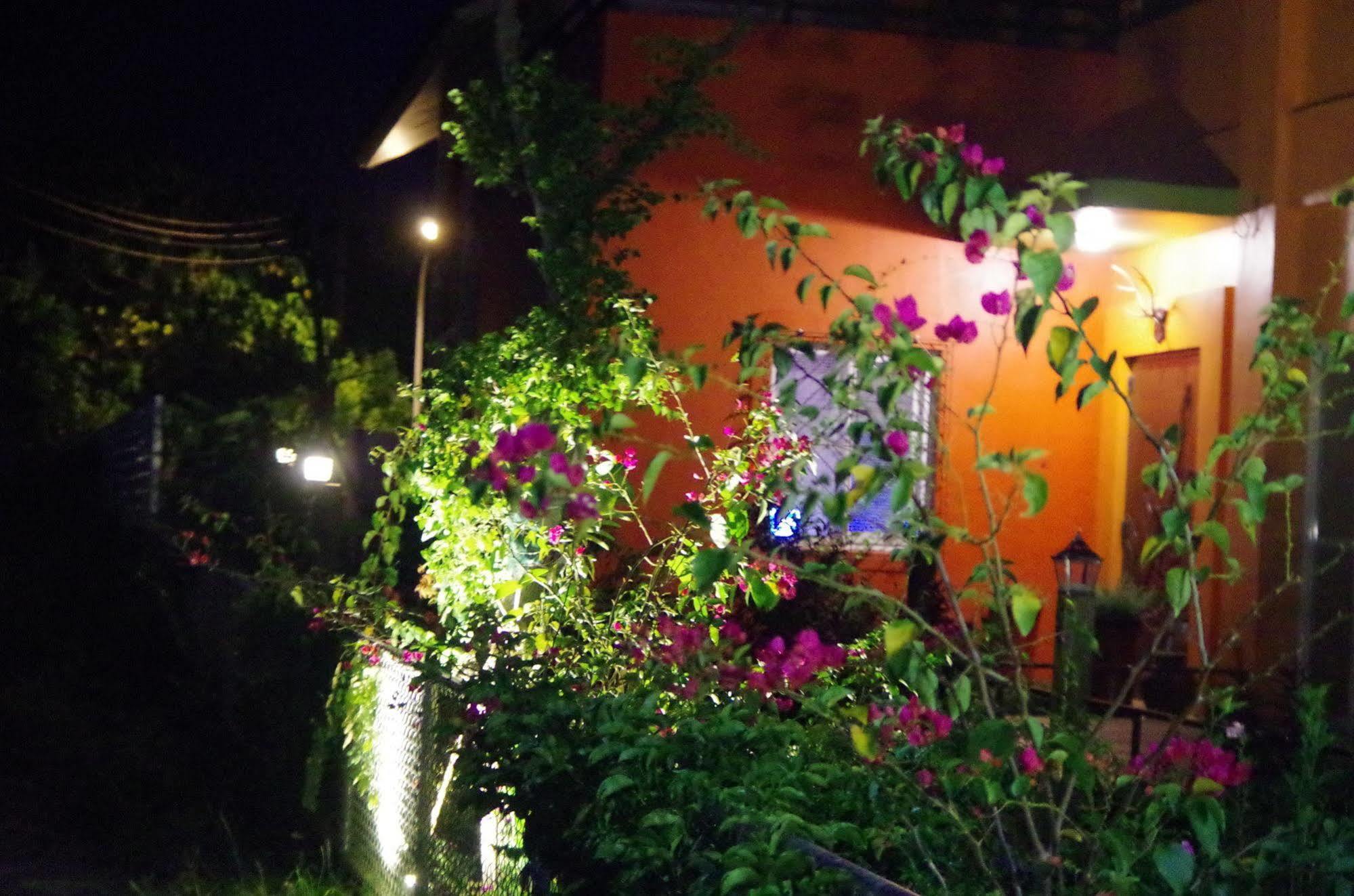 Lung Hill B&B T'ai-tung Exterior foto